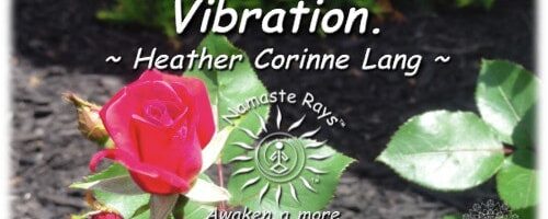 Love is the highest Vibration