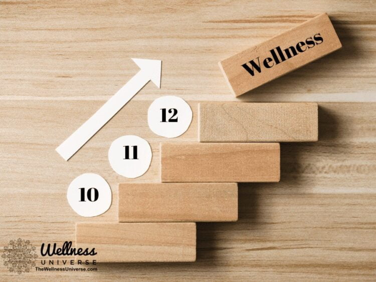 The 12 Steps to Wellness By Elizabeth Kipp @elizabethkipp Healing chronic pain from a holistic and h