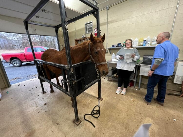 We’ve now reached the last step of Lacharme’s Journey from Kill Pen to Forever Sanctuary Hom