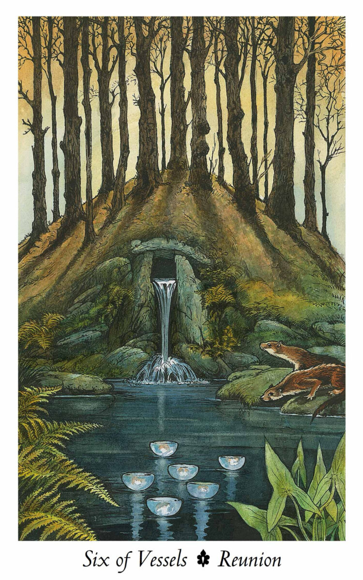 “Today’s a great day to reunite & reconnect.” Six Of Vessels – WildWood Tarot Deck &