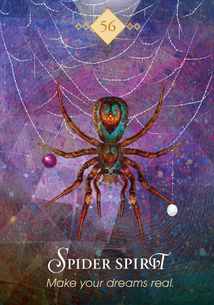 “Today’s a great day to co-create with Source.” Spider Spirit – Spirit Animal Oracle Dec