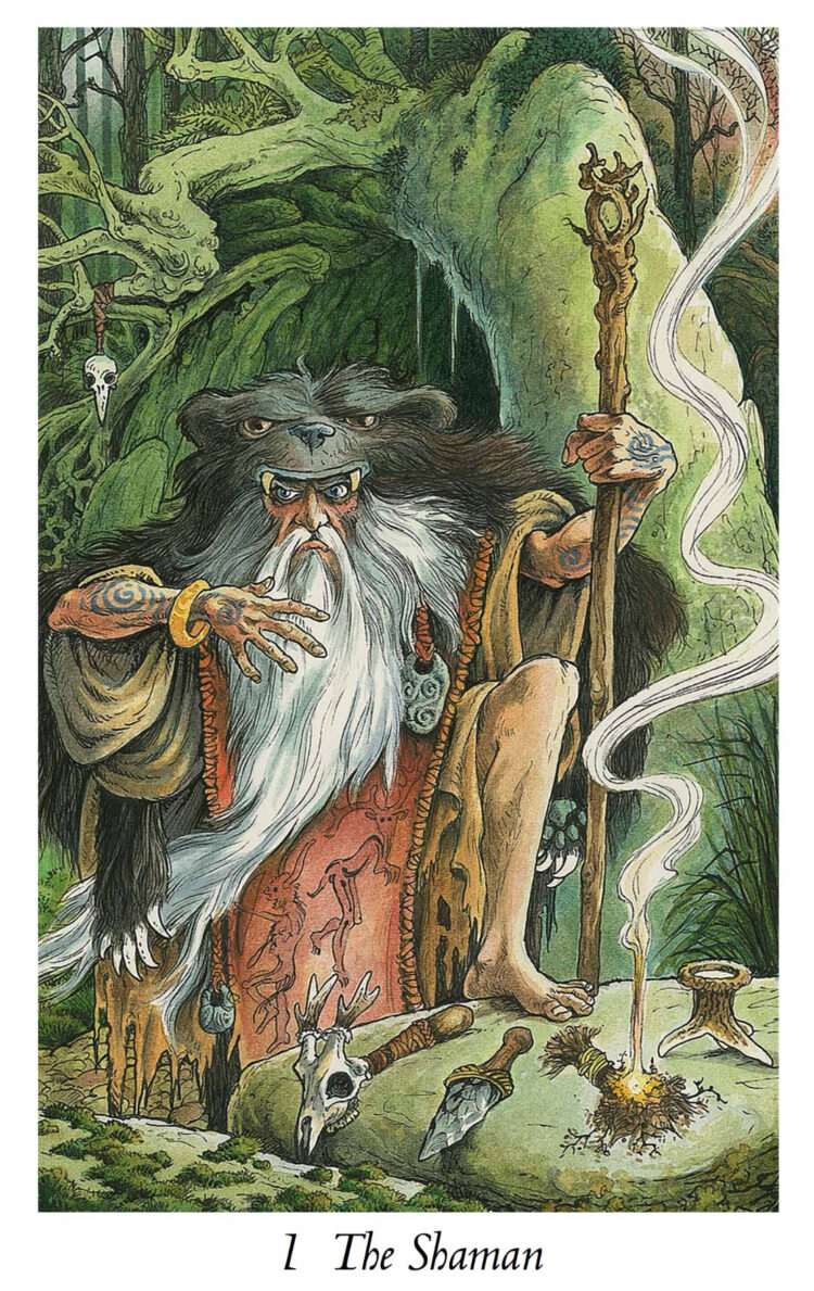 “Today’s a great day to plan your day with intent.” The Shaman – Wild Wood Tarot Deck &a