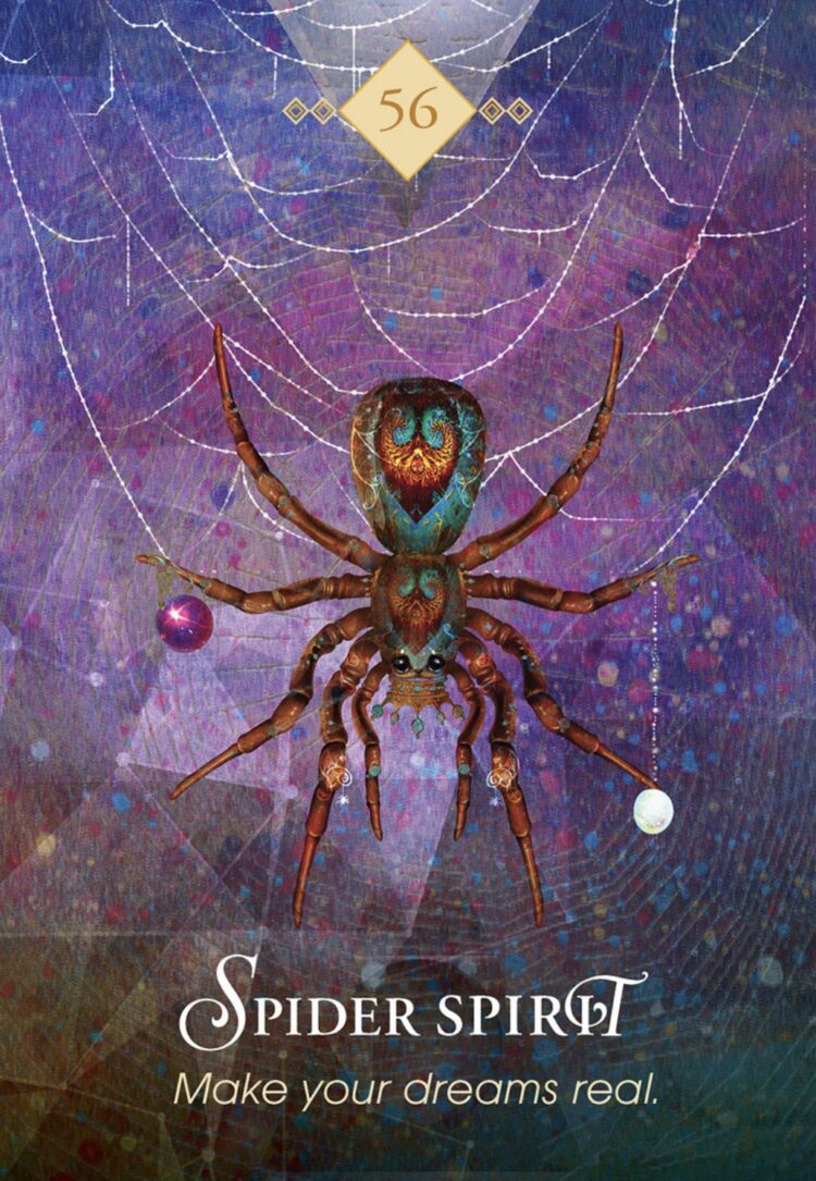 “Today’s a great day to start with one clear action.” Spider Spirit – Spirit Animal Orac