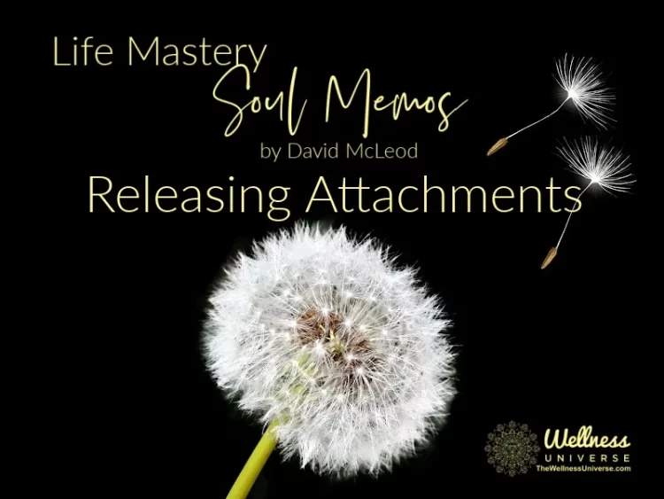 Life Mastery Soul Memos with David McLeod By David McLeod @davidmcleod Give yourself permission to t